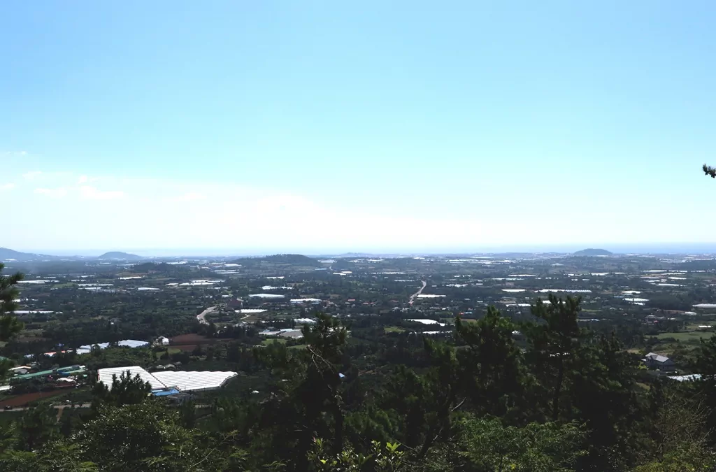 제주 올레길 13코스 저지오름 전망대에서 바라본 웅장한 한라산과 제주의 중산간 풍경. 완주자가 꼽는 서부 코스 최고의 명장면.