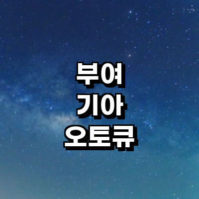 부여군 기아 오토큐