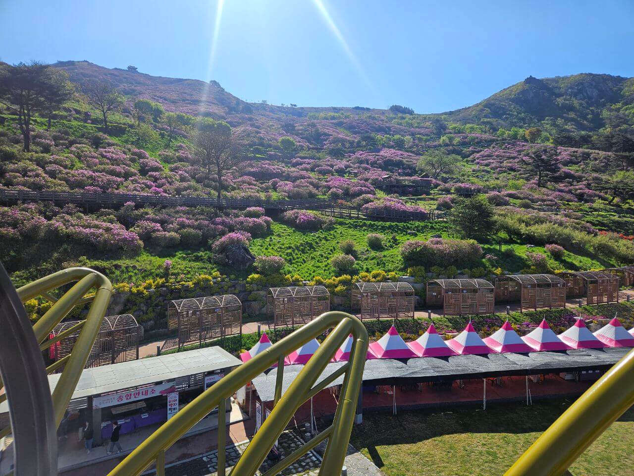 차황면 황매산의 철쭉이 만개한 풍경