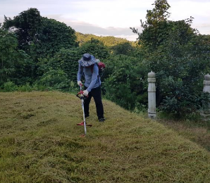 명절 벌초 방법