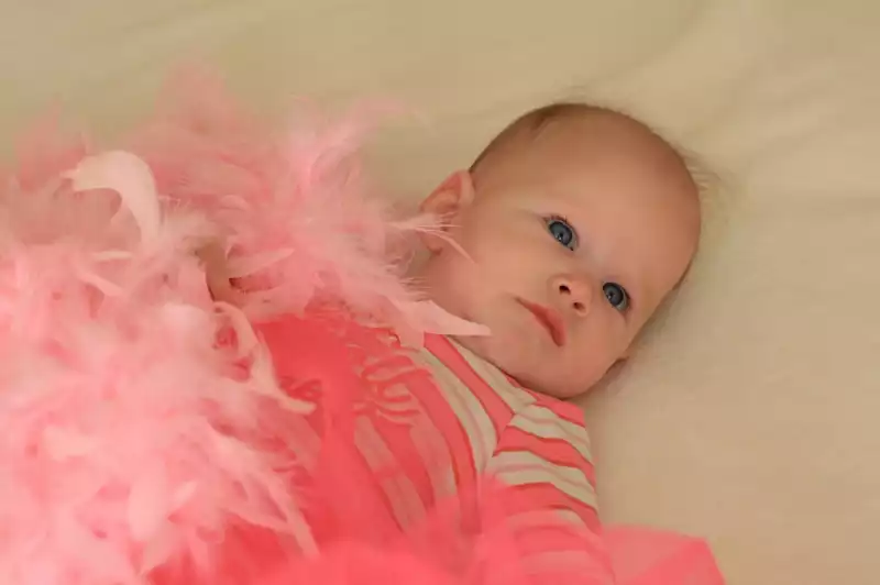 아기 유모차 고를때 체크할 부분