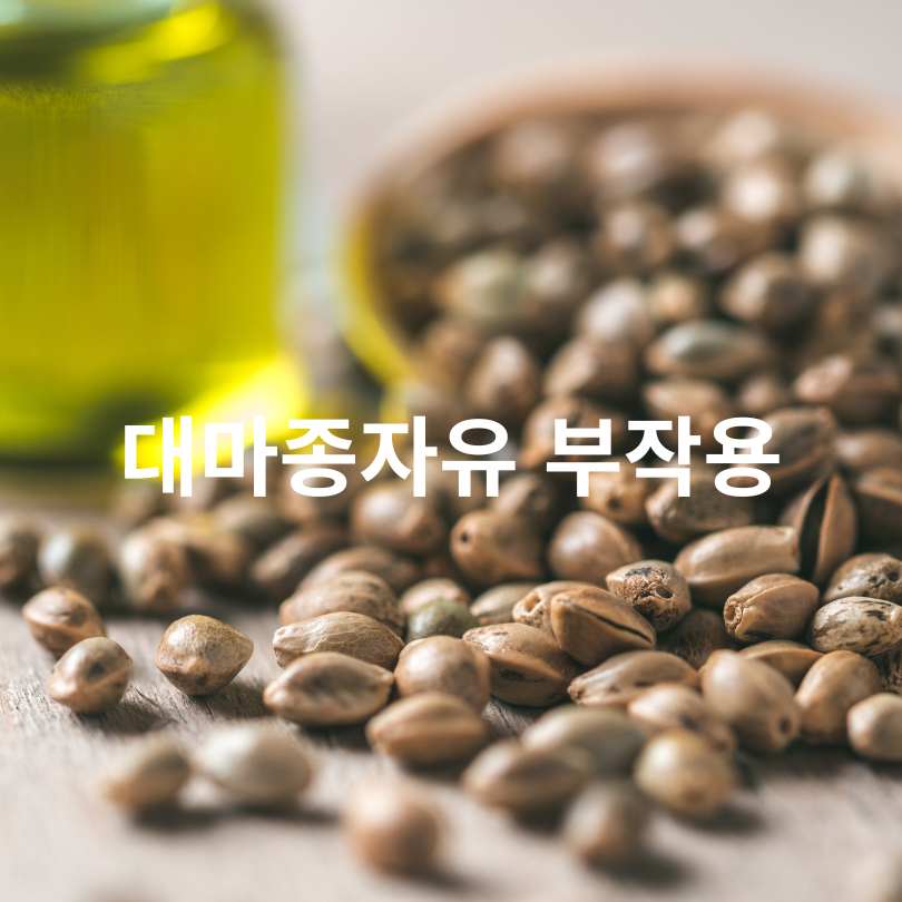 대마종자유 먹는 법과 효능, 부작용
