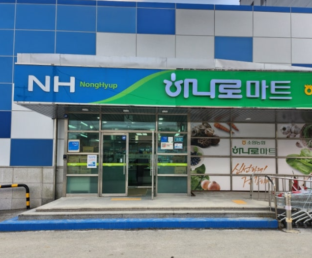 민생회복 지원금 소비쿠폰 사용처 (주유소, 하나로마트 )