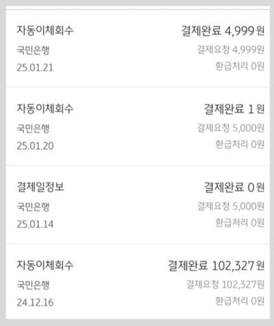 국민카드결제내역