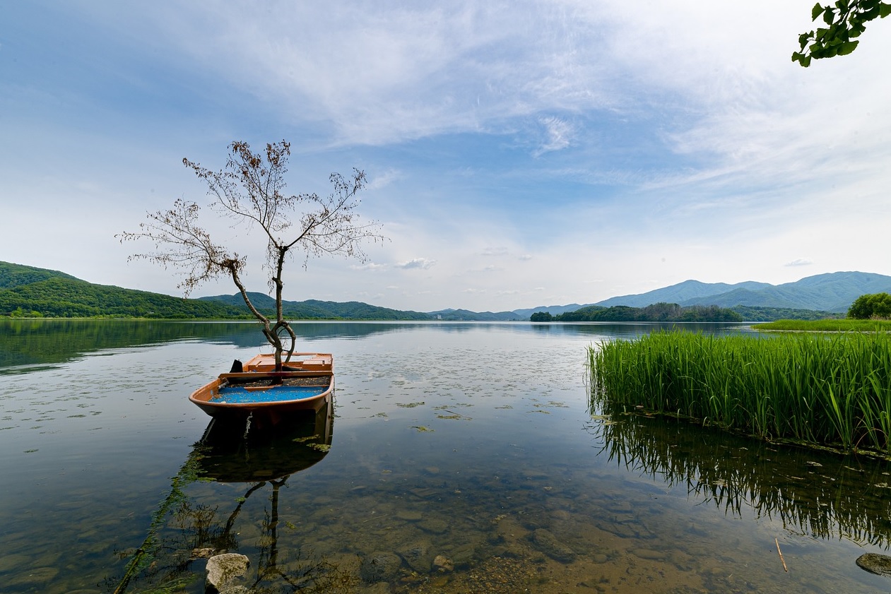 가성비 좋은 여행지 관련 사진