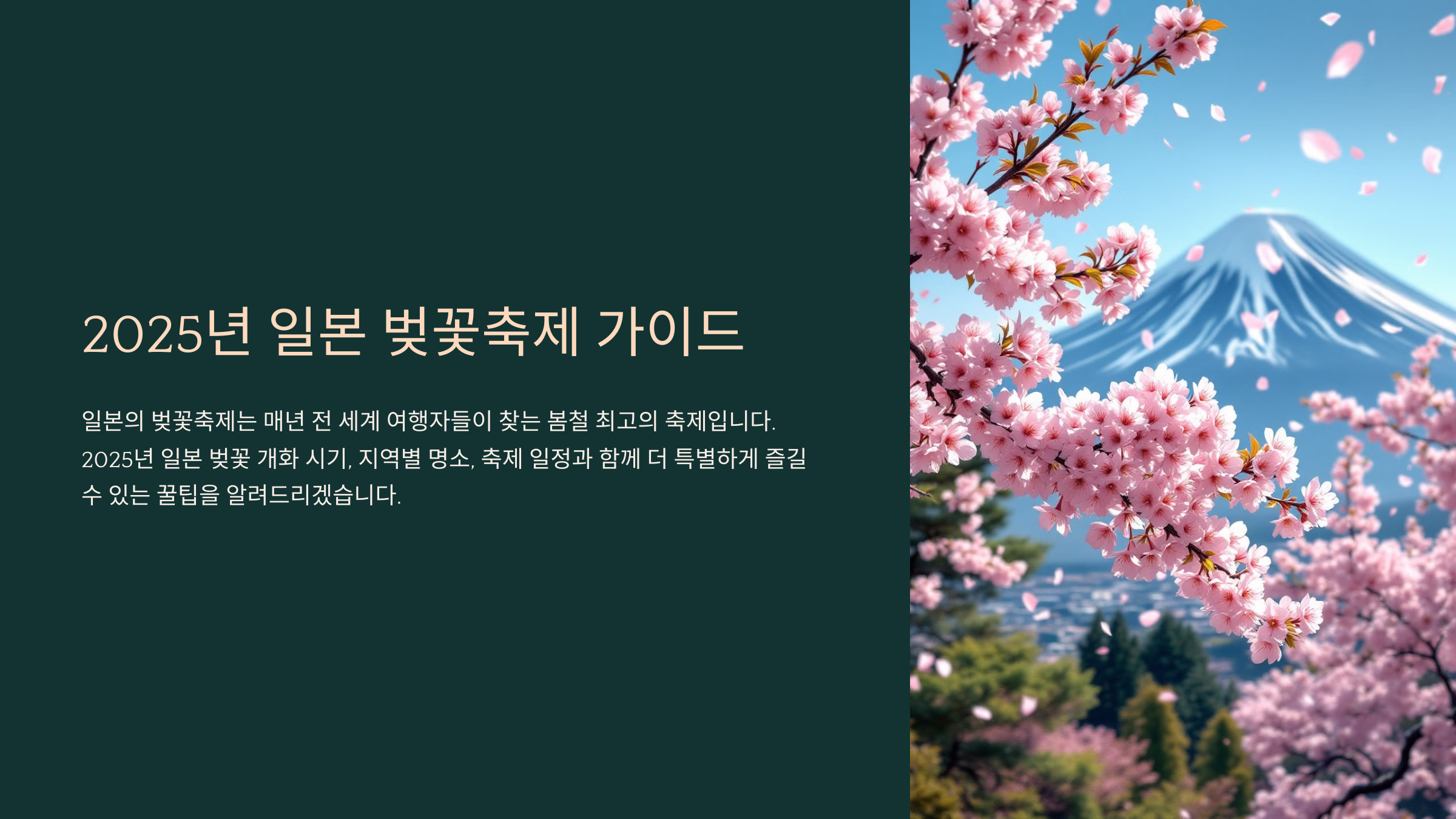 일본 벚꽃축제🌸 2025 일정과 명소 추천