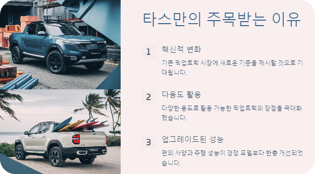 타스만의 주목받는 이유