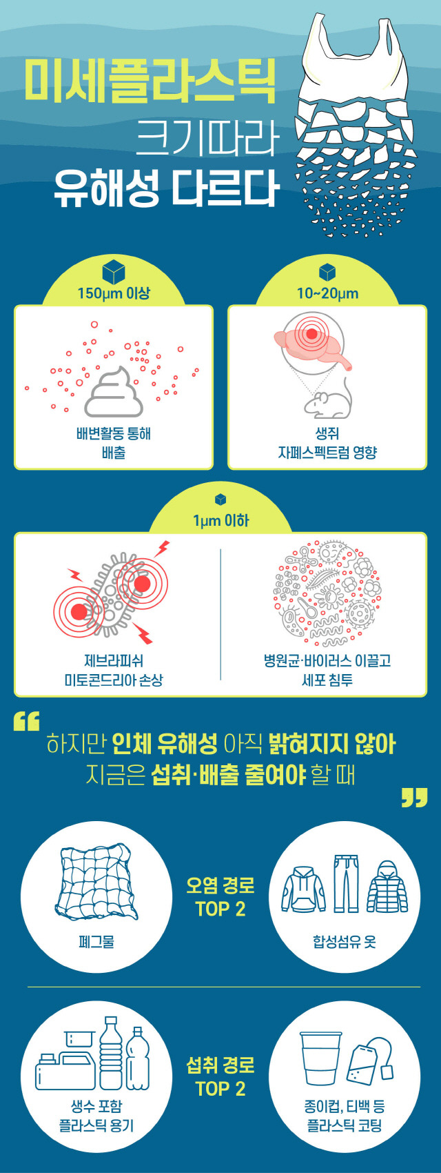 미세플라스틱 크기에 따른 유해성