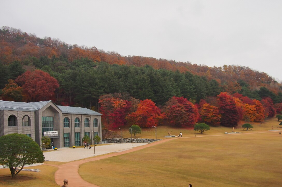 청남대 가을축제 : 단풍·국화·호수가 어우러진 청주의 대표 가을 명소!