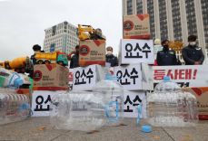 요소수 가격인상 원인 해결방안