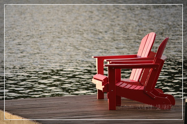 4월 셋째주 코스트코 할인 (생활용품&amp;#44; 반려동물&amp;#44; 주방 용품 등)