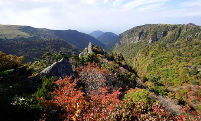 2025 한라산 단풍 절정시기 공개! 가을 초보자 코스 완벽 정리