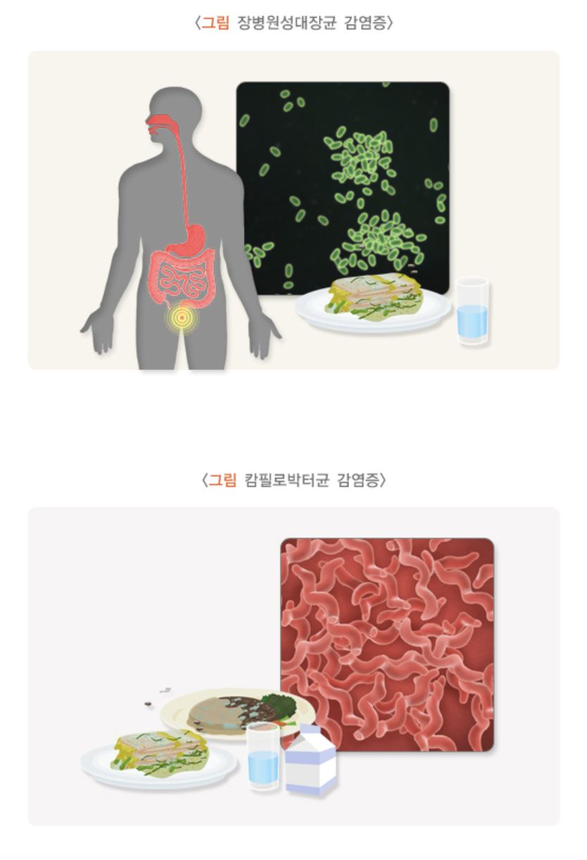 이외의 세균에 의한 감염증