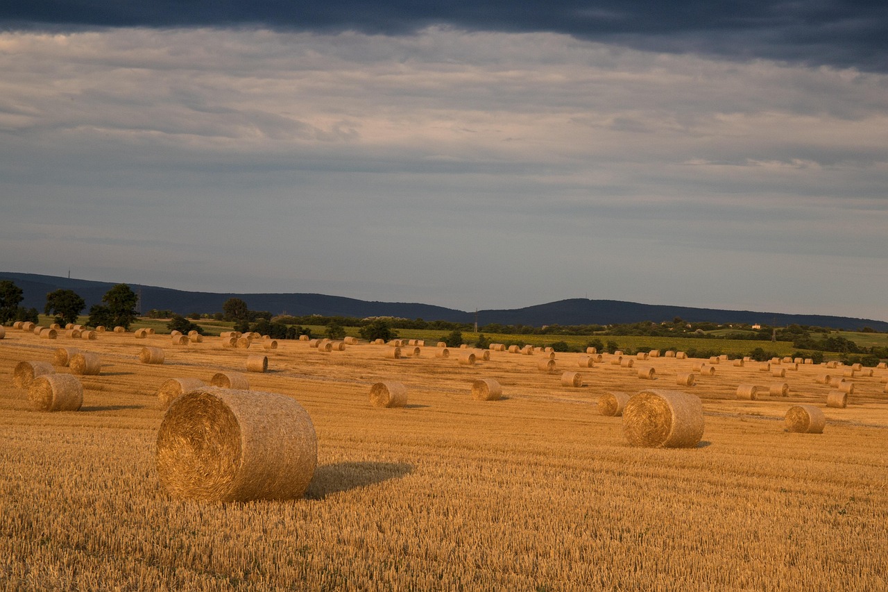 토지이용계획확인원 인터넷 발급방법