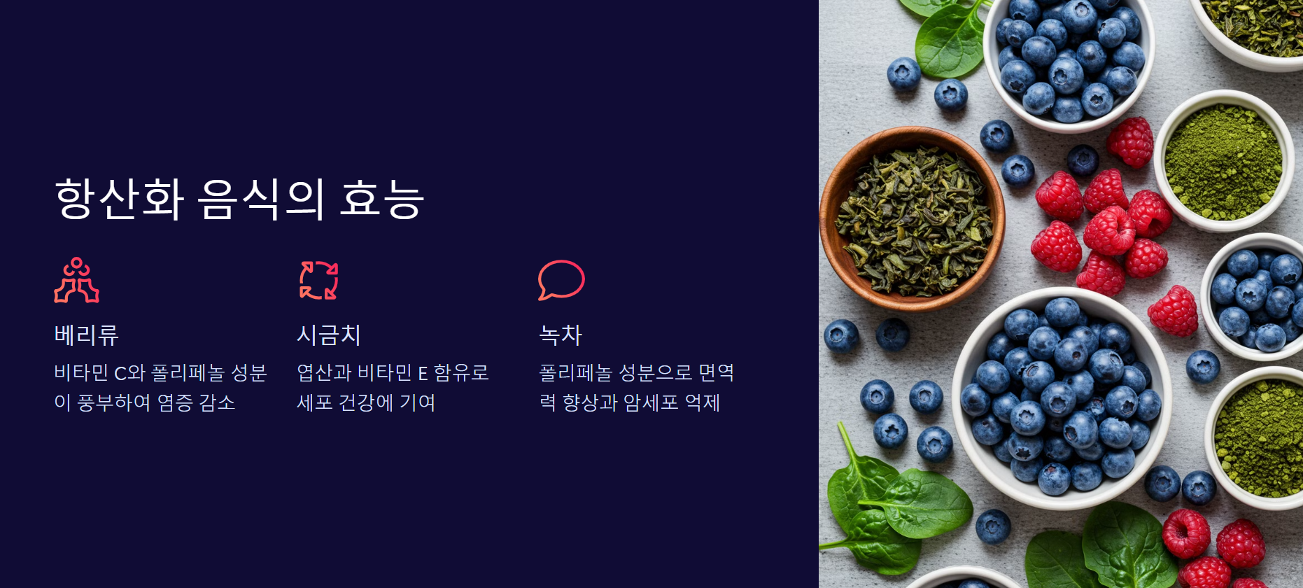 항산화 음식의 효능