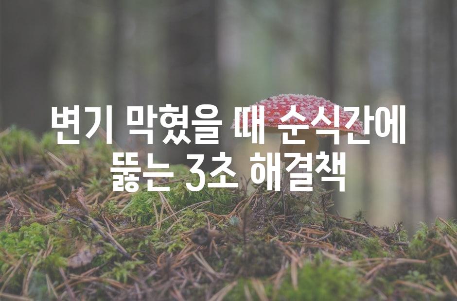 샘플 (42)