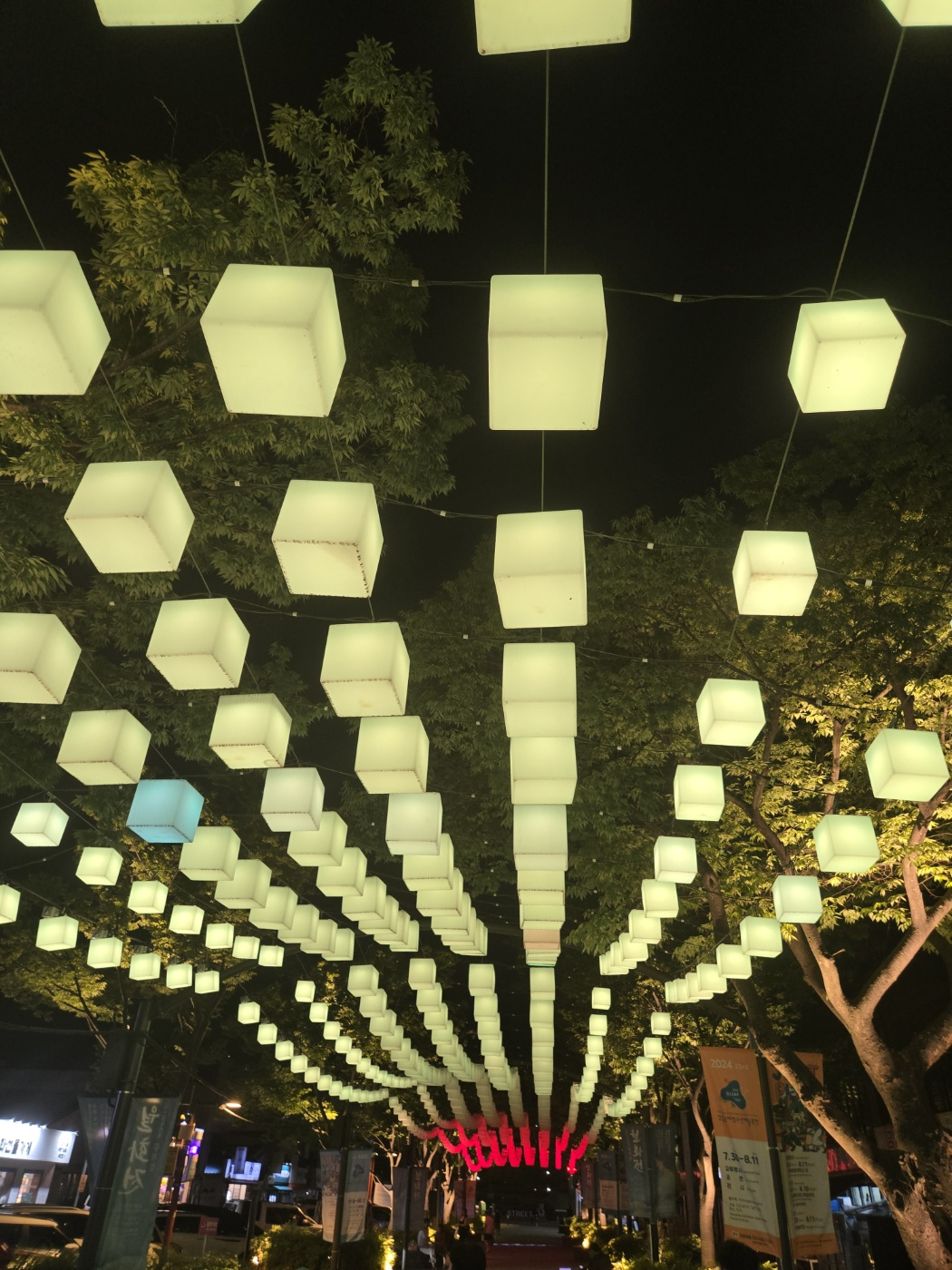 강릉-월화거리-3