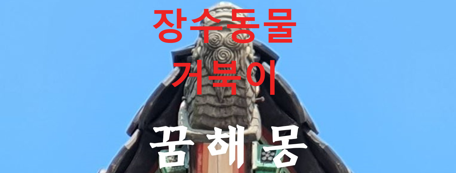 꿈해몽