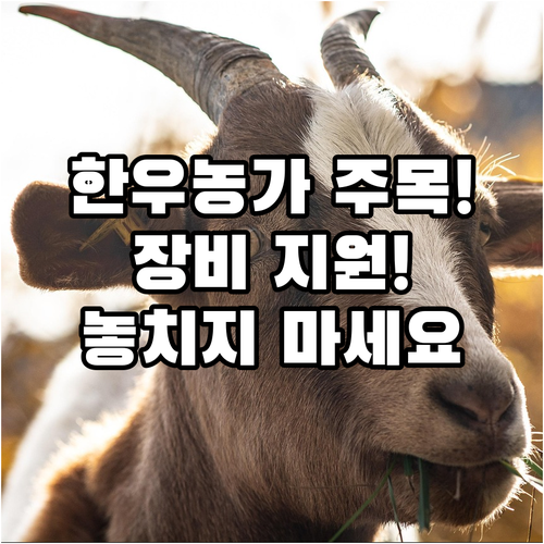 한우 사육농가 주목! 2025 양평군..