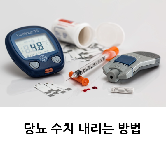 당뇨 수치 내리는 방법
