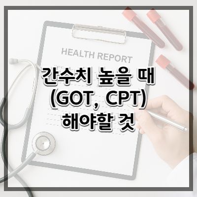 간수치(GOT, GPT) 높을 때 진짜로 해야 할 것