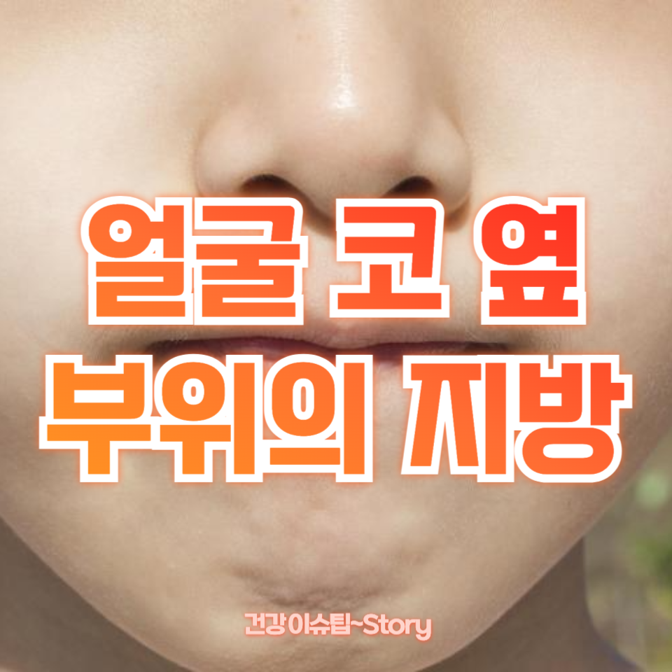 얼굴 코 옆 지방이 딱딱하고 통증