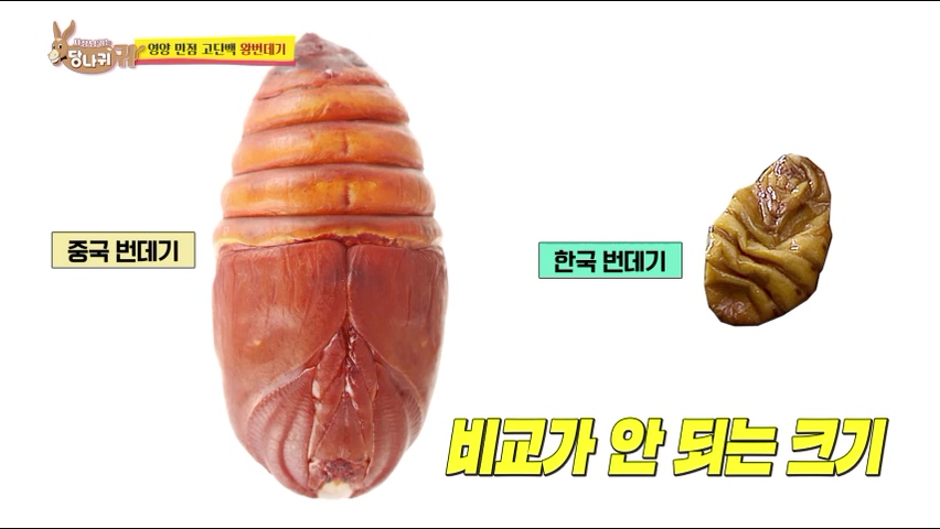 사장님귀는 당나귀귀 정지선 쉐프 중식당 생선머리탕 왕번데기 볶음 대림시장 차이나타운 맛집 위치 오늘방송 정보