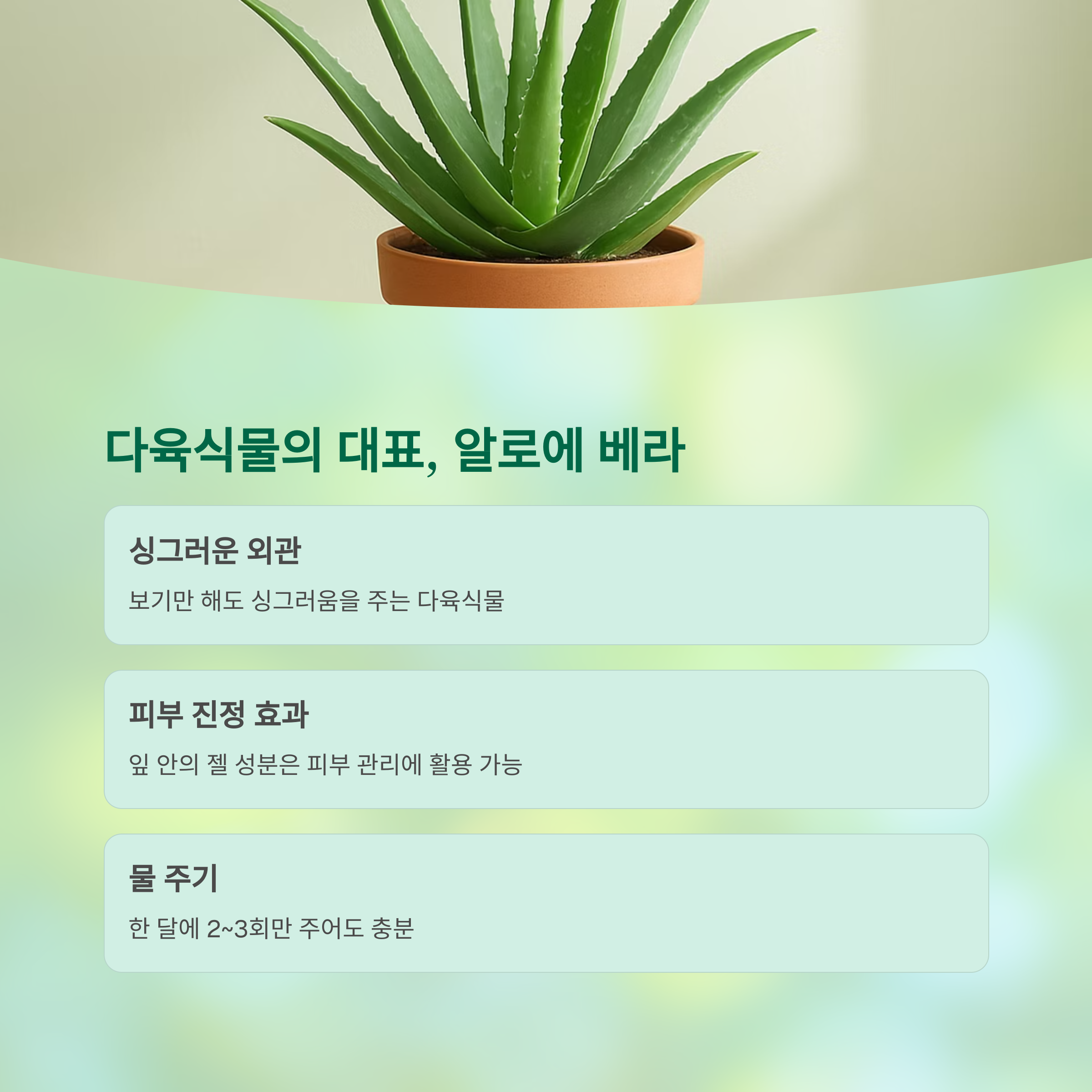 다육식물의 대표 알로에 베라