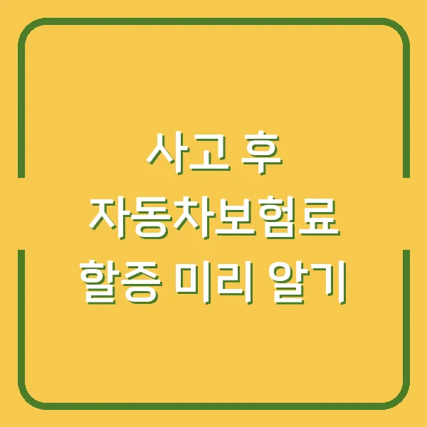 사고 후 자동차보험료 할증 미리 알기