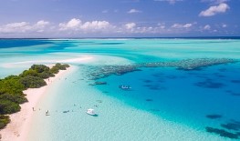 강원도 해수욕장 개장일