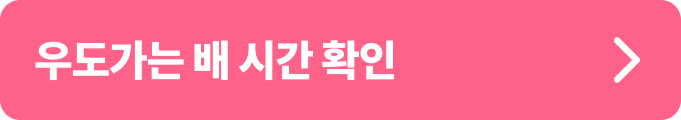 우도에서 벚꽃을 즐기기 위한 배 시간 확인 버튼. 아름다운 봄 풍경과 함께 우도로 떠나는 여행을 계획해보세요!