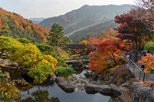 화담숲
