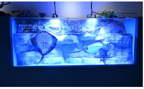 시흥 거북섬 해양생태과학관