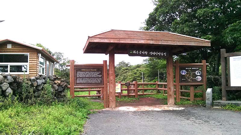 제주도(jejudo) 화순곶자왈