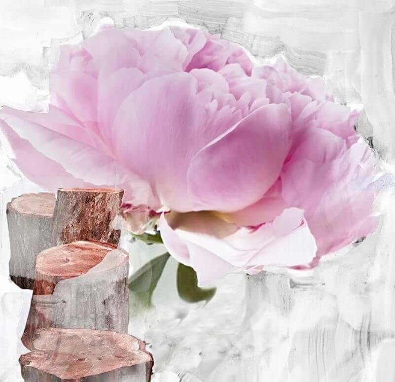 바이레도 블랑쉬 향