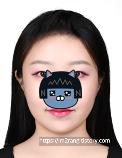 여권사진 예시