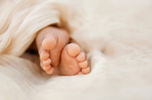 고용보험 미적용자 출산급여