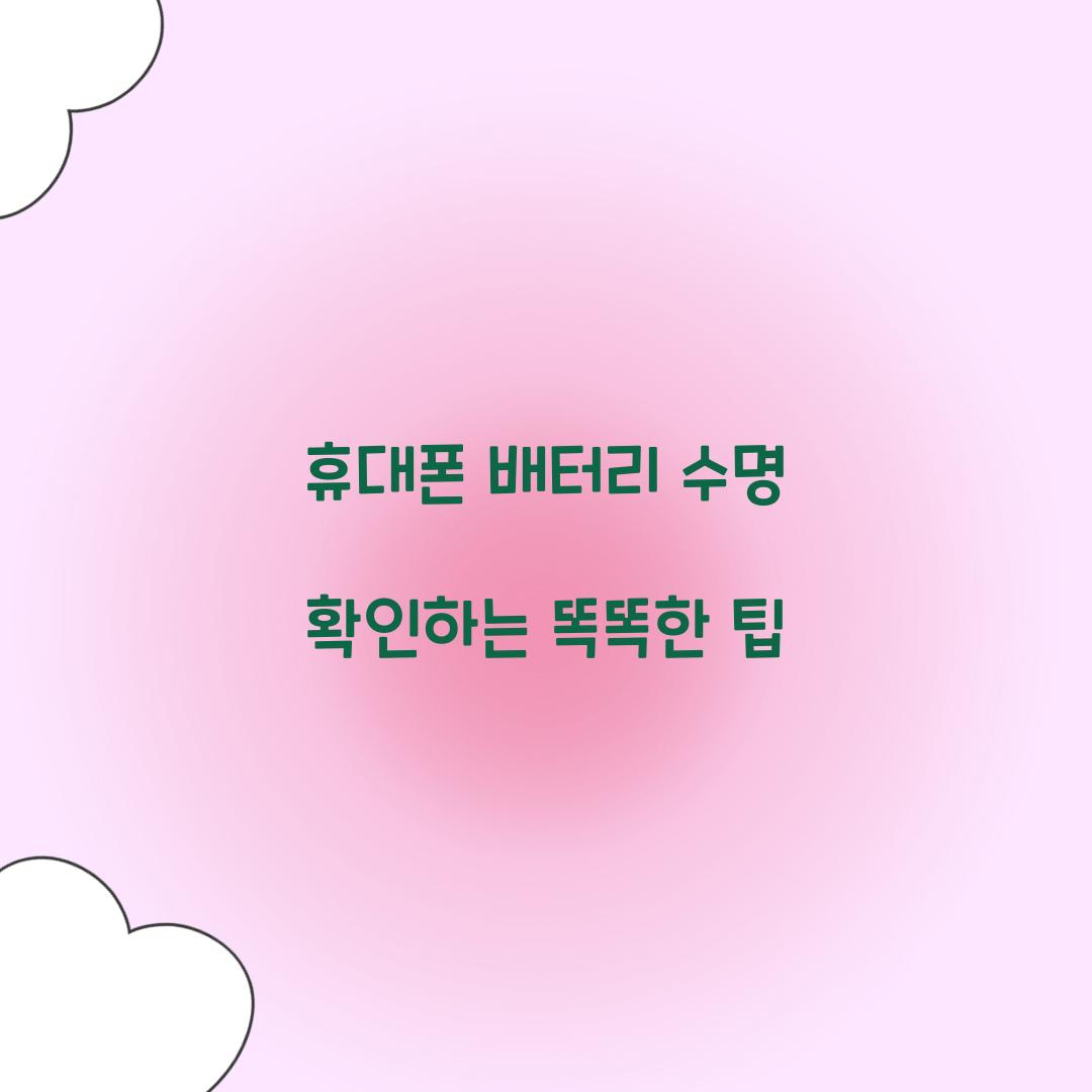 휴대폰 배터리 수명 확인
