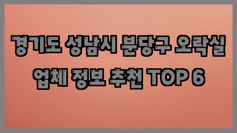 경기도 성남시 분당구 오락실