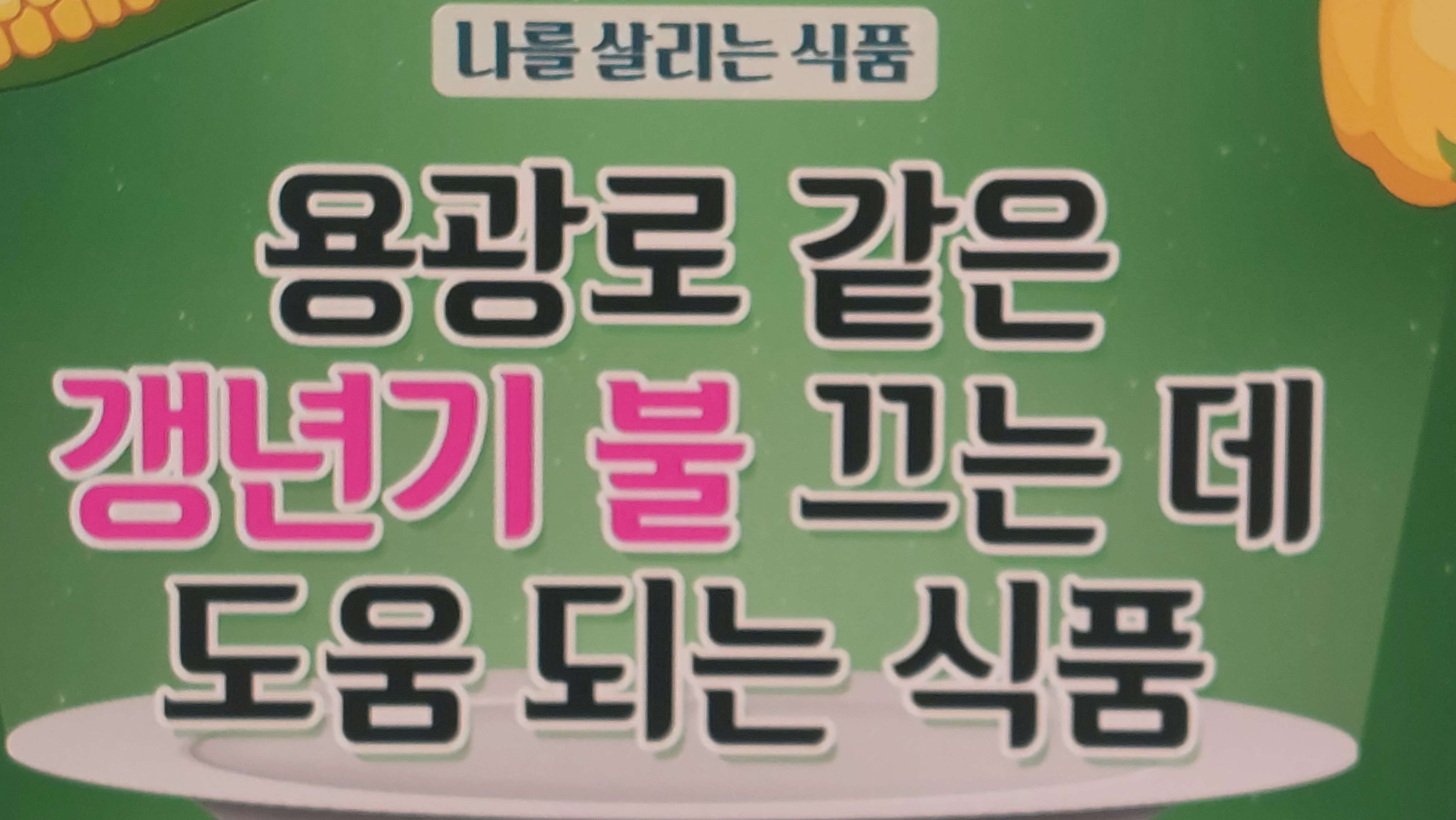 갱년기 유산균 yt1