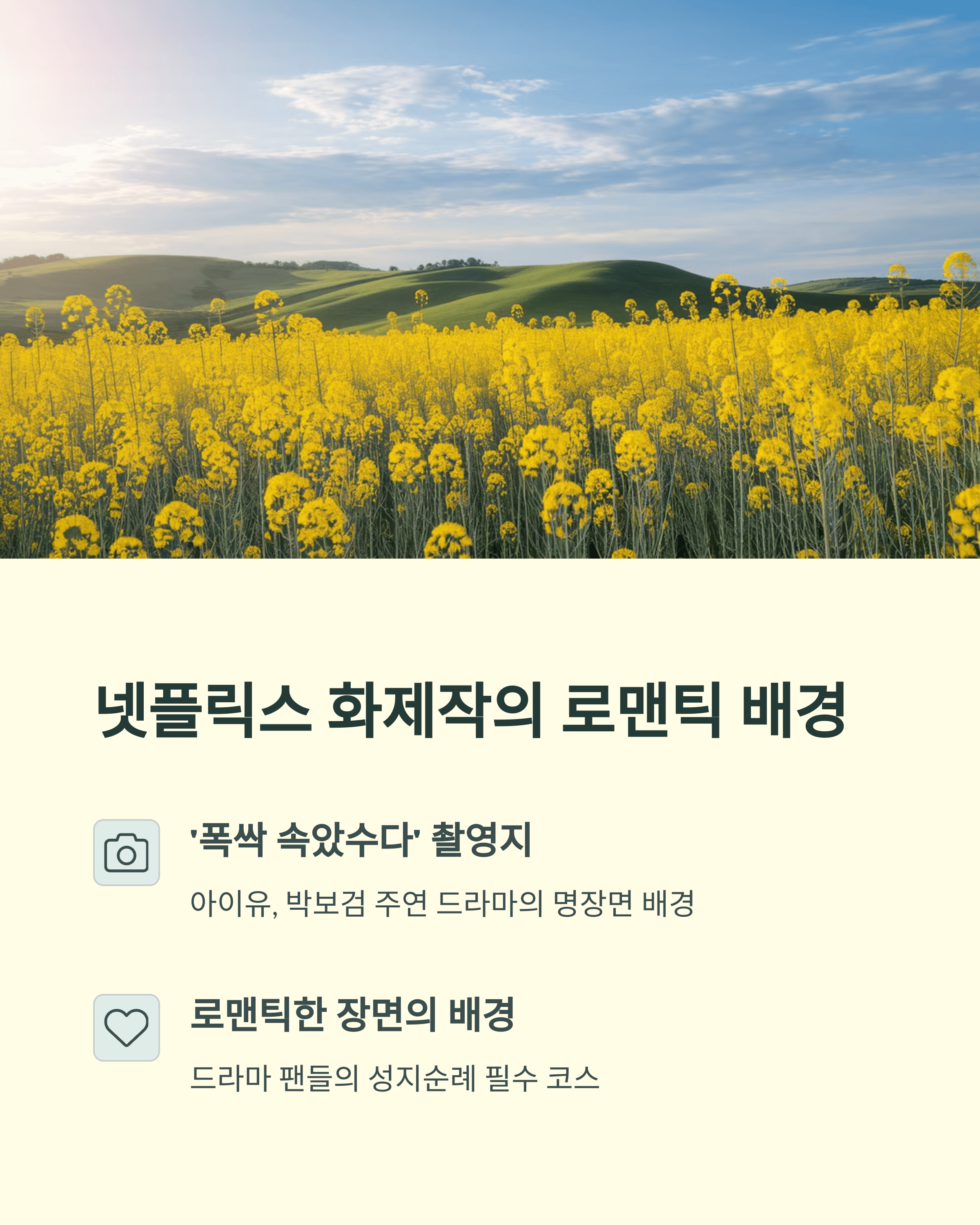 2025 고창 청보리밭 축제&#44; 폭싹 속았수다 유채꽃밭