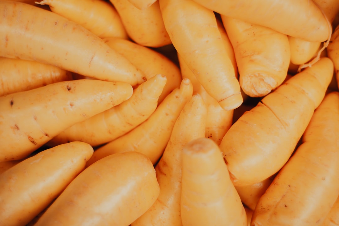 Sweet potato stems