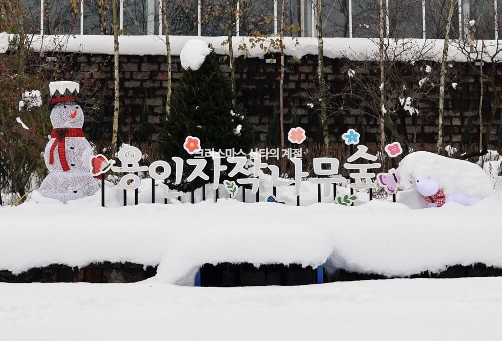 생생정보 택시맛객 용인여행 용인자작나무숲 봄꽃축제 실내스카이다이빙체험 족발맛집 평원집