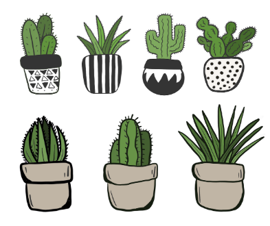 초보자를 위한 실내 식물 추천