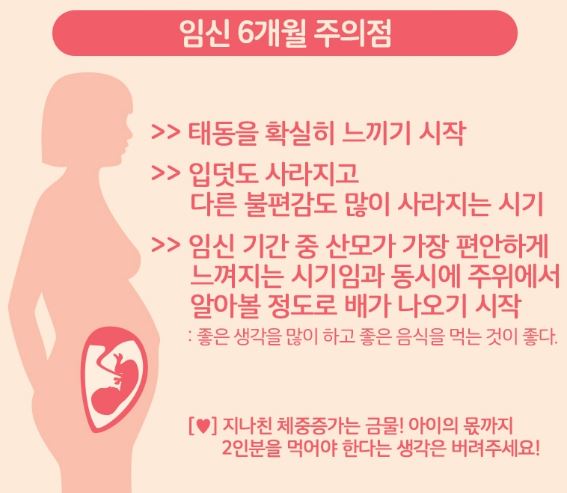 임신 6개월 주의점