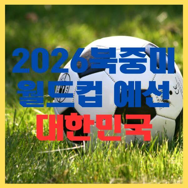 월드컵예선