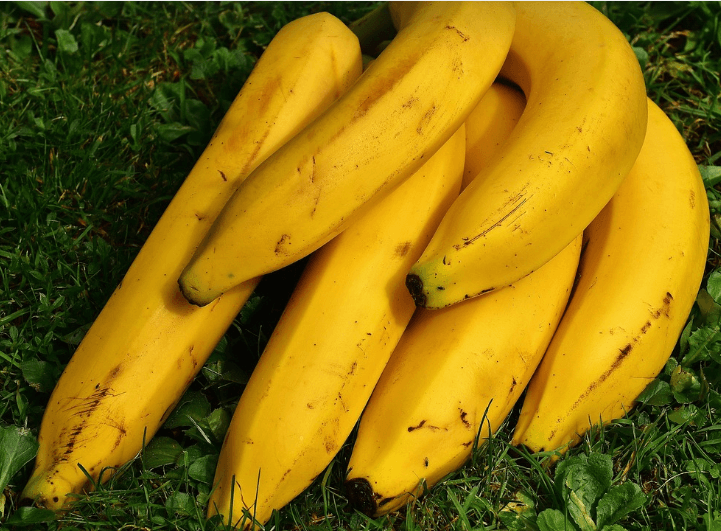 위에 좋은 음식