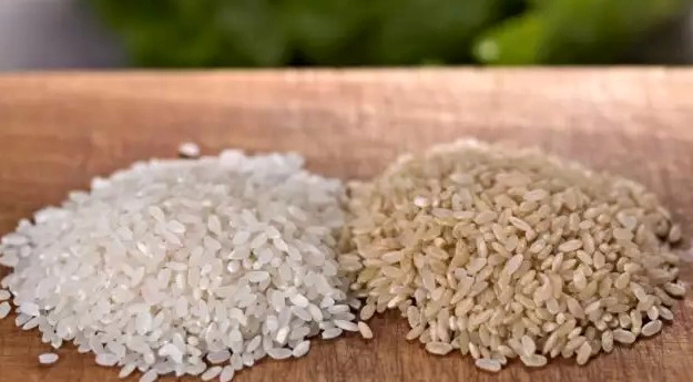 옥타코사놀 효능