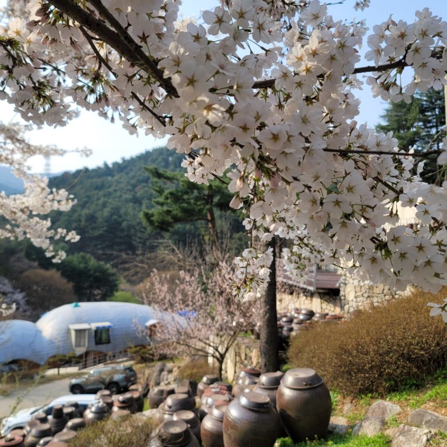 수목원프로방스