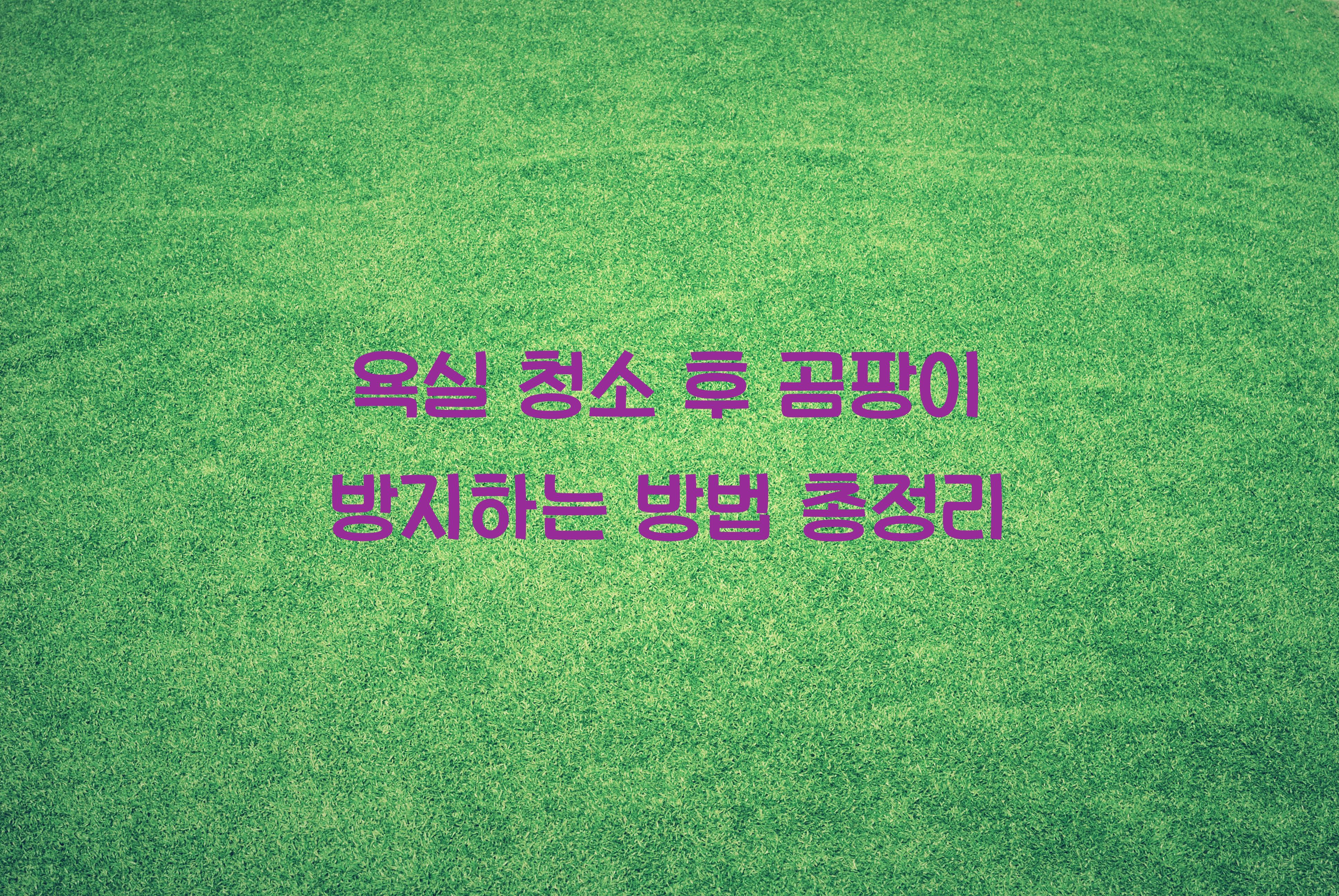 욕실 청소 후 곰팡이 방지하는 방법